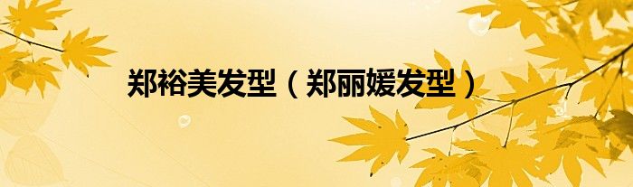 郑裕美发型（郑丽媛发型）