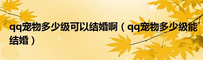 qq宠物多少级可以结婚啊(qq宠物多少级能结婚)