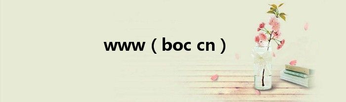 www(boc cn)