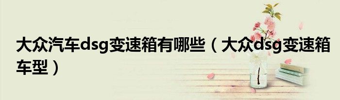 大众汽车dsg变速箱有哪些(大众dsg变速箱车型)