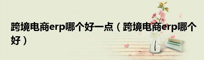 跨境电商erp哪个好一点(跨境电商erp哪个好)