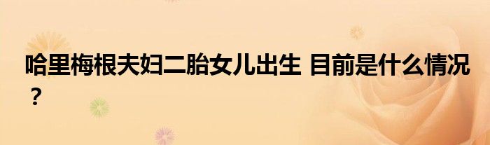 哈里梅根夫妇二胎女儿出生 目前是什么情况?