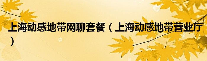 上海动感地带网聊套餐(上海动感地带营业厅)