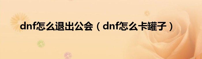 dnf怎么退出公会(dnf怎么卡罐子)