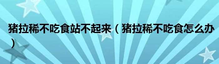 猪拉稀不吃食站不起来(猪拉稀不吃食怎么办)