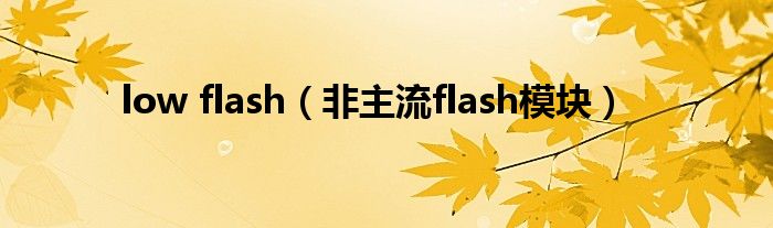 low flash(非主流flash模块)