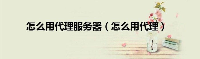 怎么用代理服务器(怎么用代理)