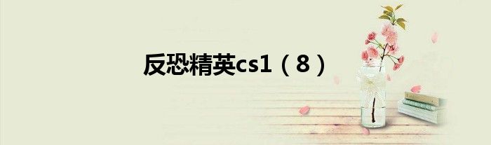 反恐精英cs1(8)