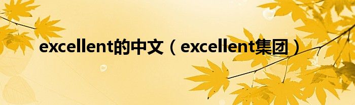 excellent的中文(excellent集团)