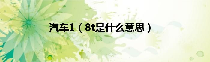 汽车1(8t是什么意思)
