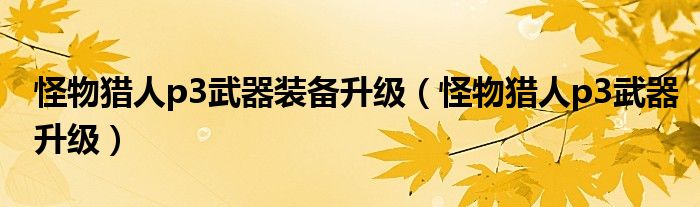 怪物猎人p3武器装备升级(怪物猎人p3武器升级)