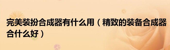 完美装扮合成器有什么用(精致的装备合成器合什么好)