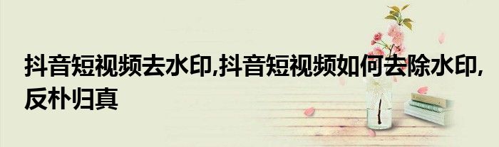 抖音短视频去水印,抖音短视频如何去除水印,反朴归真