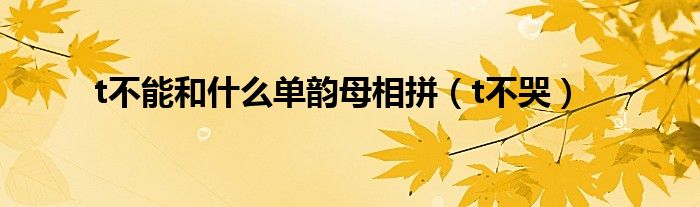 t不能和什么单韵母相拼(t不哭)