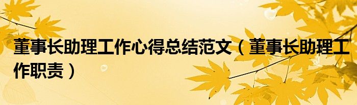董事长助理工作心得总结范文(董事长助理工作职责)