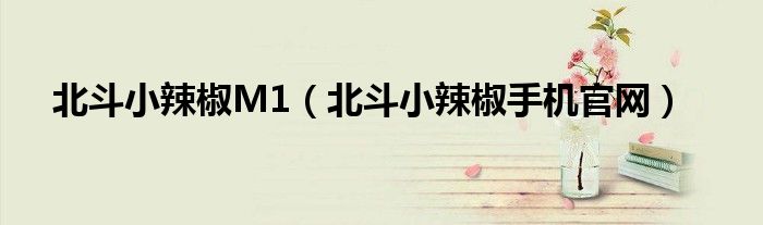 北斗小辣椒M1(北斗小辣椒手机官网)