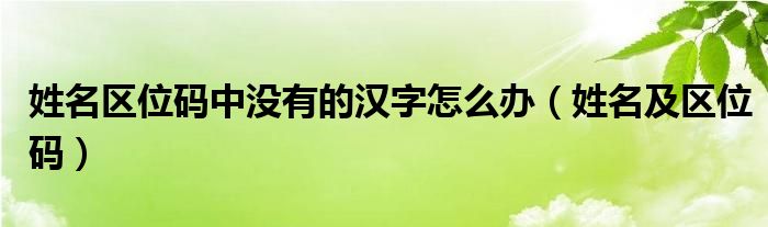 姓名区位码中没有的汉字怎么办(姓名及区位码)