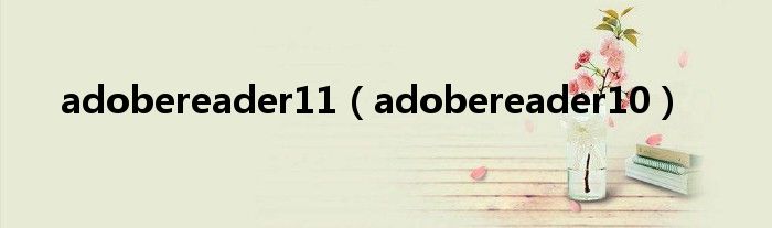 adobereader11(adobereader10)
