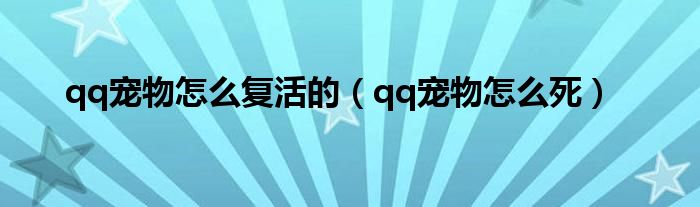 qq宠物怎么复活的(qq宠物怎么死)