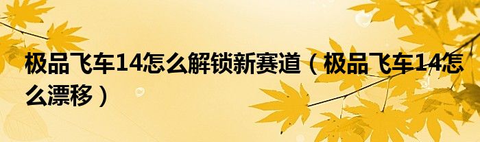 极品飞车14怎么解锁新赛道(极品飞车14怎么漂移)