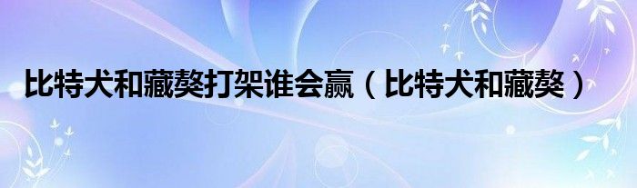 比特犬和藏獒打架谁会赢(比特犬和藏獒)