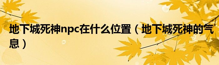 地下城死神npc在什么位置(地下城死神的气息)