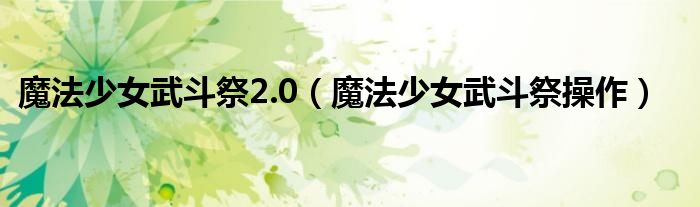 魔法少女武斗祭2.0(魔法少女武斗祭操作)