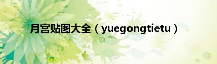 月宫贴图大全(yuegongtietu)