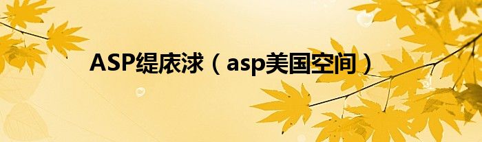 ASP缇庡浗(asp美国空间)