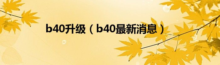 b40升级(b40最新消息)