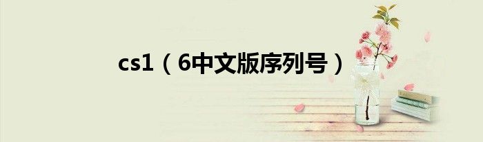 cs1(6中文版序列号)
