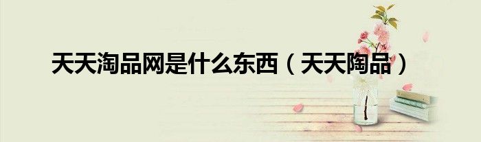 天天淘品网是什么东西(天天陶品)