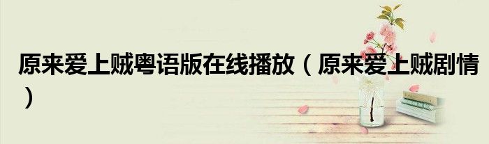 原来爱上贼粤语版在线播放(原来爱上贼剧情)