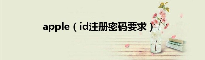 apple(id注册密码要求)
