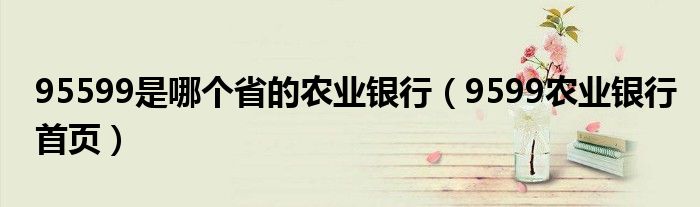 95599是哪个省的农业银行(9599农业银行首页)