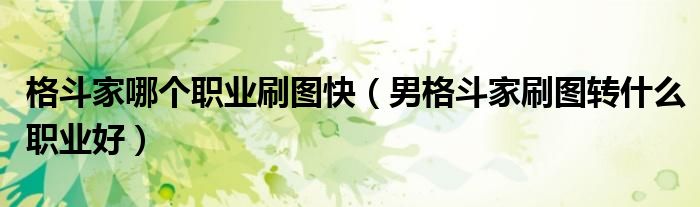 格斗家哪个职业刷图快(男格斗家刷图转什么职业好)