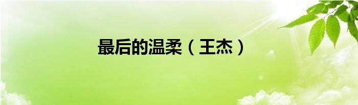 最后的温柔（王杰）