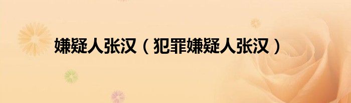 嫌疑人张汉(犯罪嫌疑人张汉)