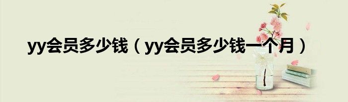 yy会员多少钱(yy会员多少钱一个月)