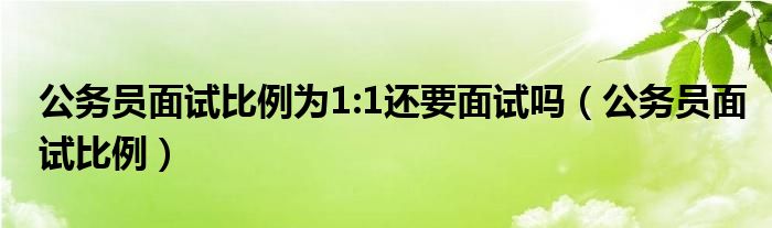 公务员面试比例为1:1还要面试吗(公务员面试比例)