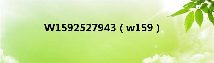 W1592527943(w159)