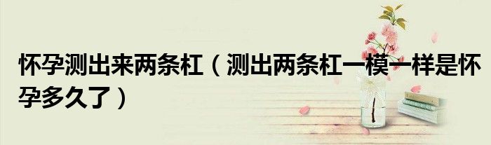 怀孕测出来两条杠(测出两条杠一模一样是怀孕多久了)