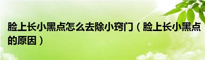 脸上长小黑点怎么去除小窍门(脸上长小黑点的原因)