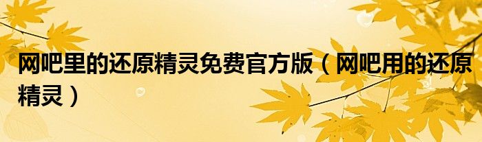 网吧里的还原精灵免费官方版（网吧用的还原精灵）