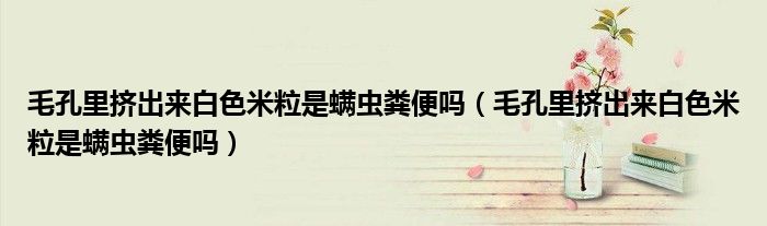 毛孔里挤出来白色米粒是螨虫粪便吗(毛孔里挤出来白色米粒是螨虫粪便吗)