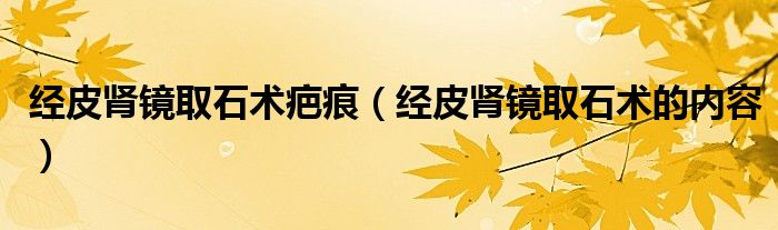 经皮肾镜取石术疤痕(经皮肾镜取石术的内容)