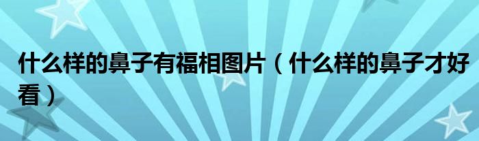 什么样的鼻子有福相图片(什么样的鼻子才好看)
