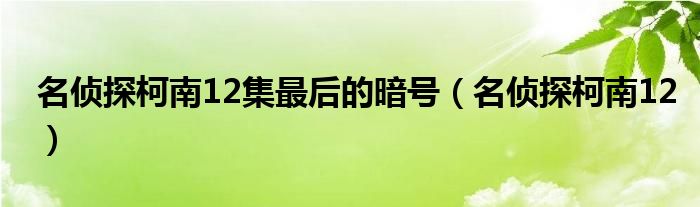 名侦探柯南12集最后的暗号(名侦探柯南12)