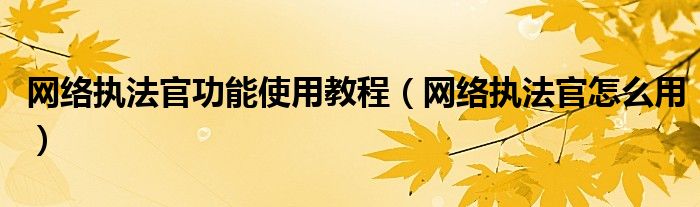 网络执法官功能使用教程(网络执法官怎么用)