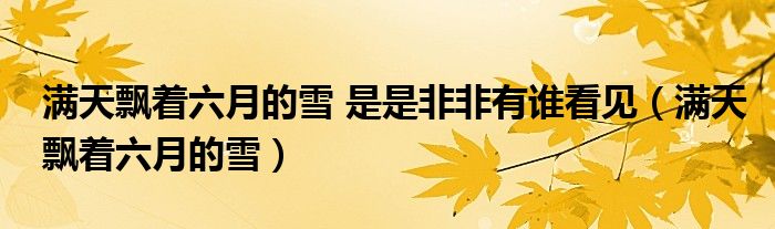 满天飘着六月的雪 是是非非有谁看见(满天飘着六月的雪)